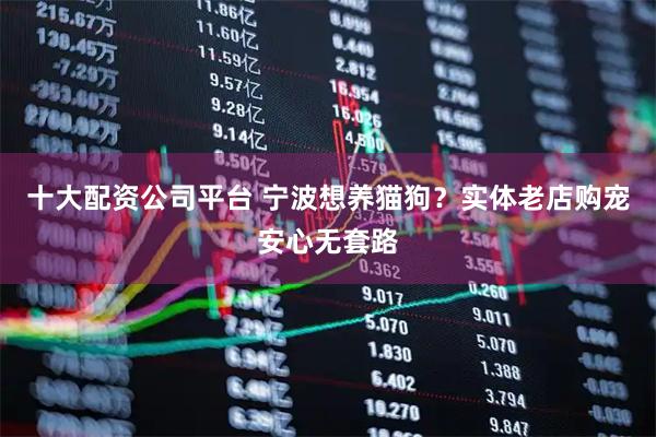 十大配资公司平台 宁波想养猫狗？实体老店购宠安心无套路